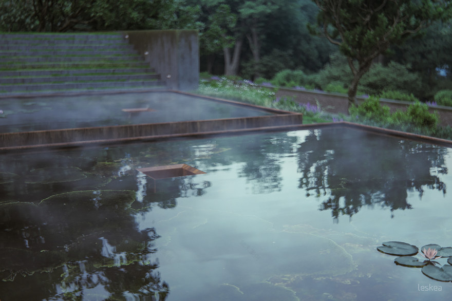 梦幻树屋(Tree House Constantia)-21