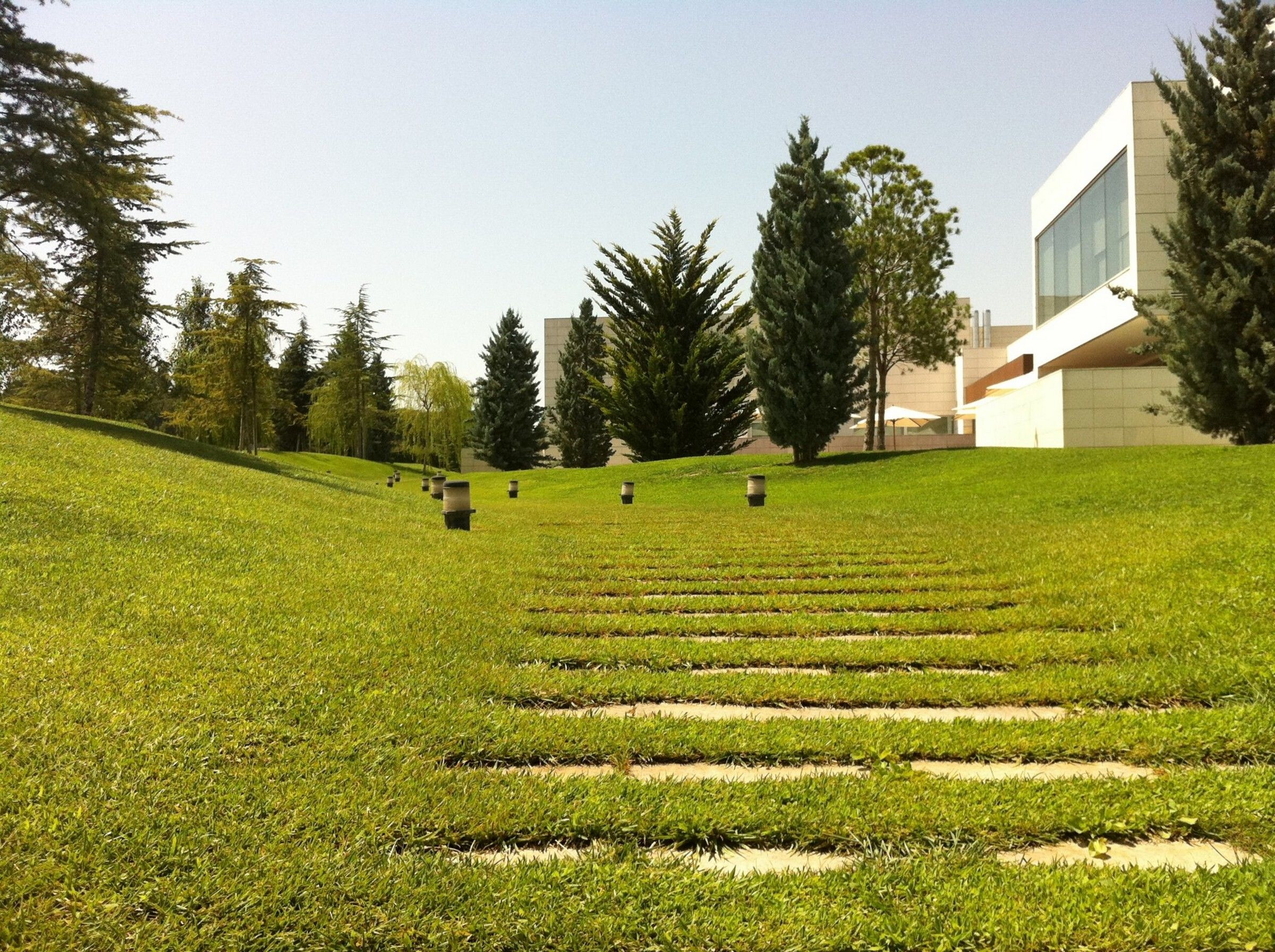 地形融入的绿色多功能酒店设计-19