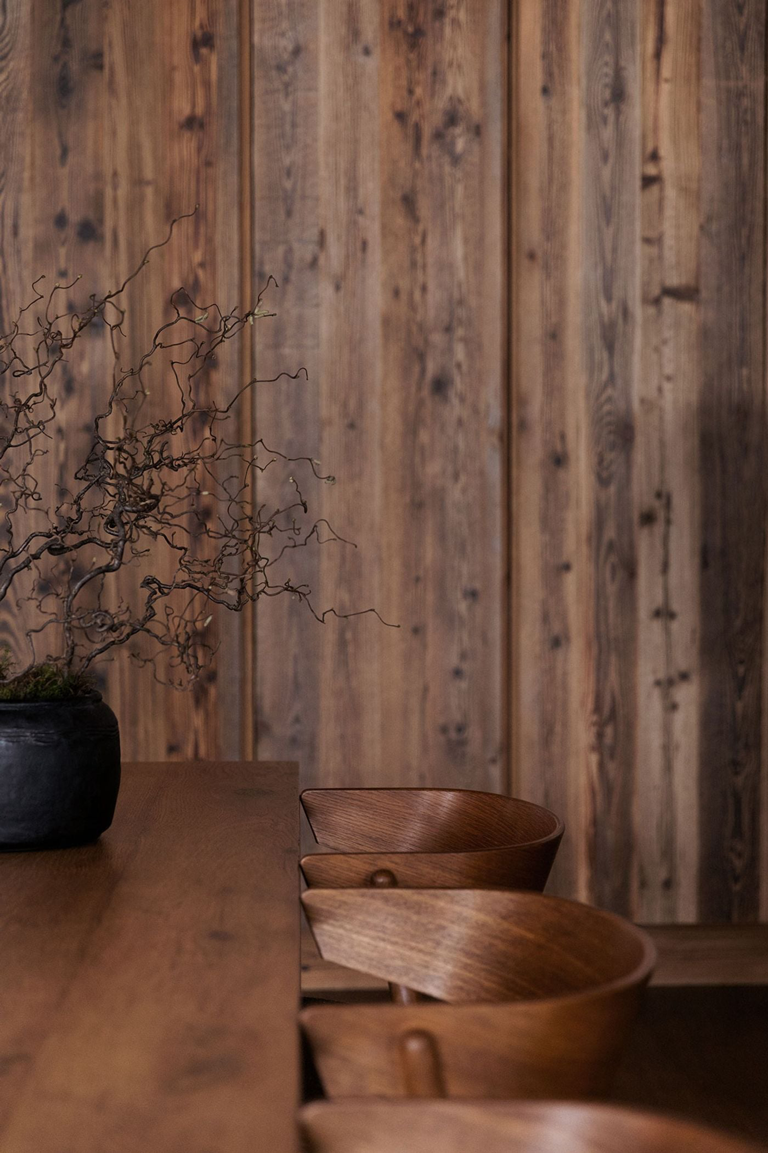 自然中的静谧沉思-79