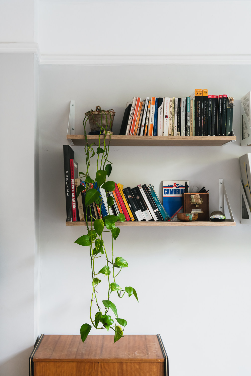 疫情期间的家居生活-9