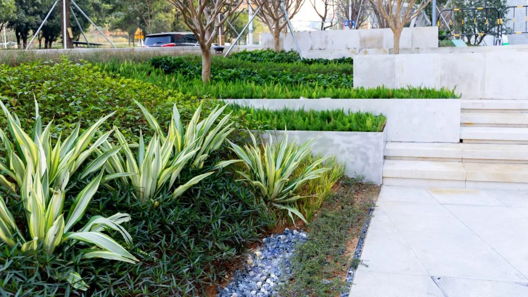 当海绵遇上艺术｜深圳光明文化艺术中心-70