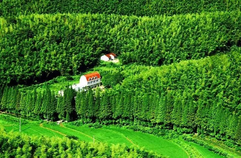 三棵树庄园 | 摄影家的心灵秘境-7