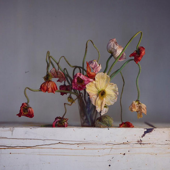 Paris Photo 2018: женщинам о женщинах-5