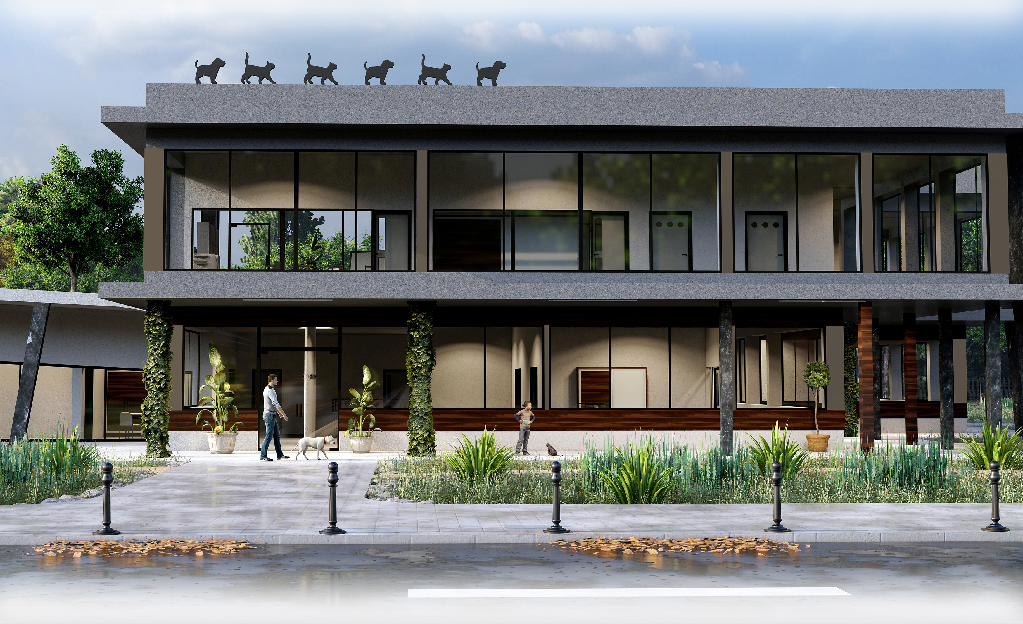 Veterinary clinic with a shelter for dogs and cats-1