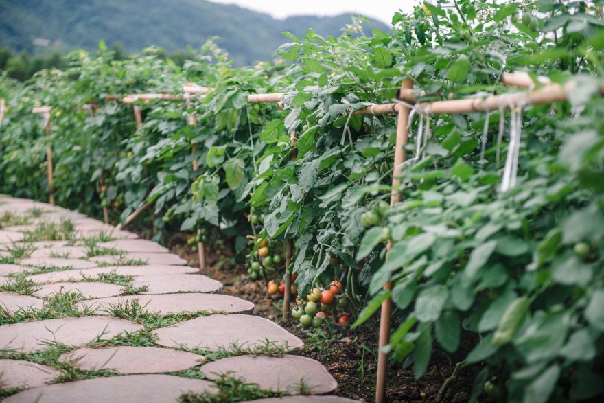峨眉·高桥小镇丨中国眉山丨四川乐道景观设计有限公司-104
