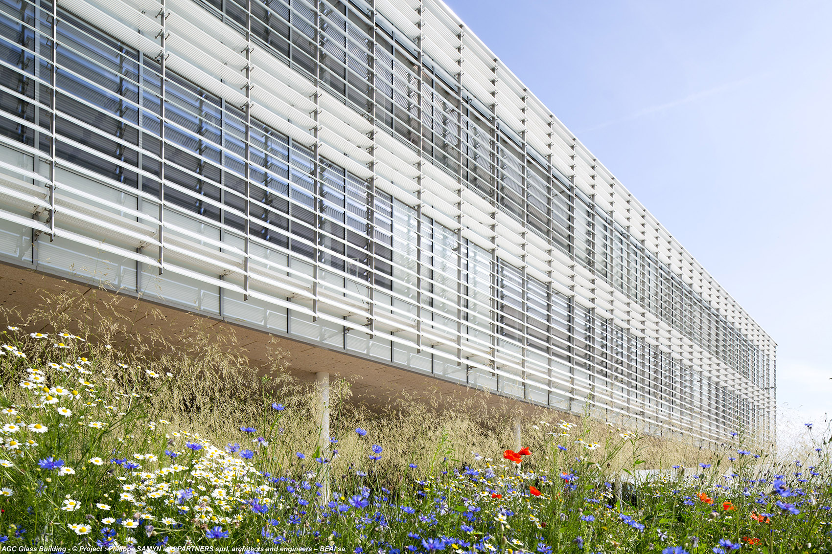 AGC玻璃欧洲总部，比利时 /  Philippe SAMYN and PARTNERS -14
