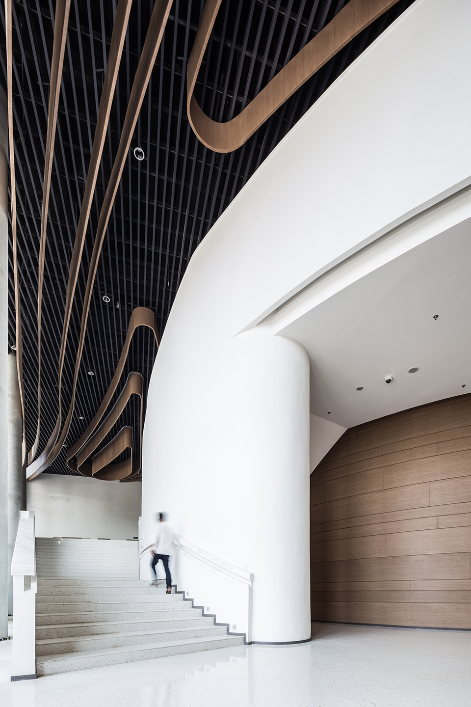 浙江音乐学院大剧院及音乐厅 / gad + GLA-43