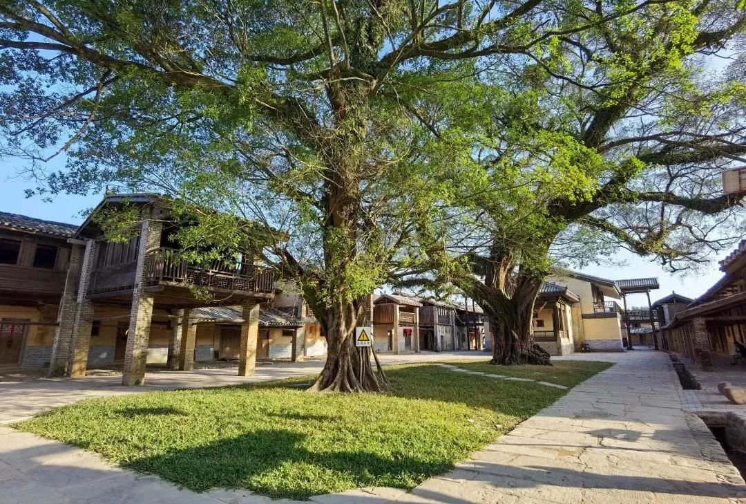 古村落新生 · 传统与现代的共生丨中国-64