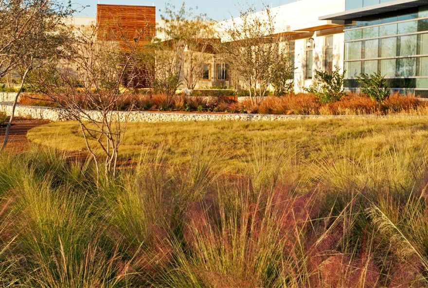 数据牧场丨美国奥斯汀-6