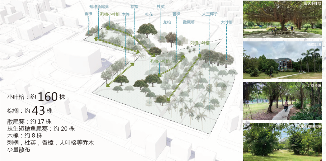 深圳招北社区公园丨中国深圳丨SED新西林景观国际-15