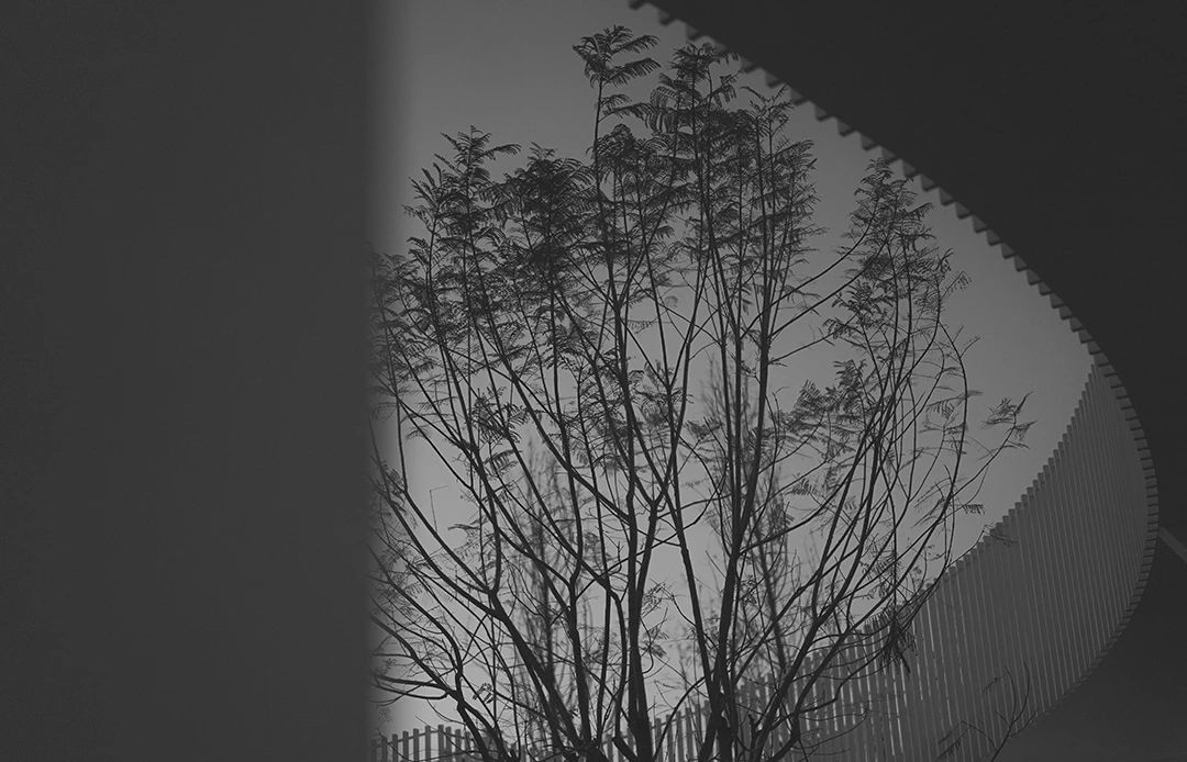 万科公园城市示范区-212