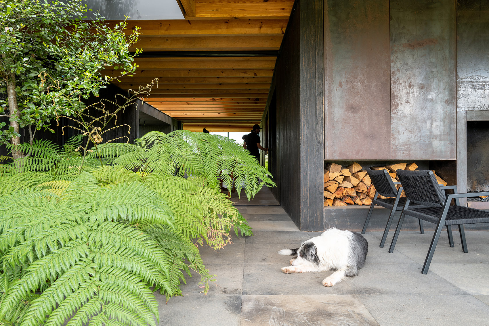 墨西哥雨水收集之家丨Robert Hutchison Architecture + JSa-107