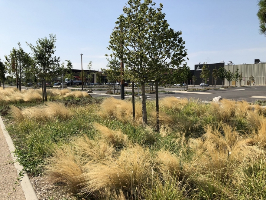 Espaces Fenouillet商业中心停车场和景观设计-26