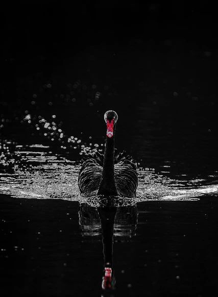 利和金汇餐厅-25