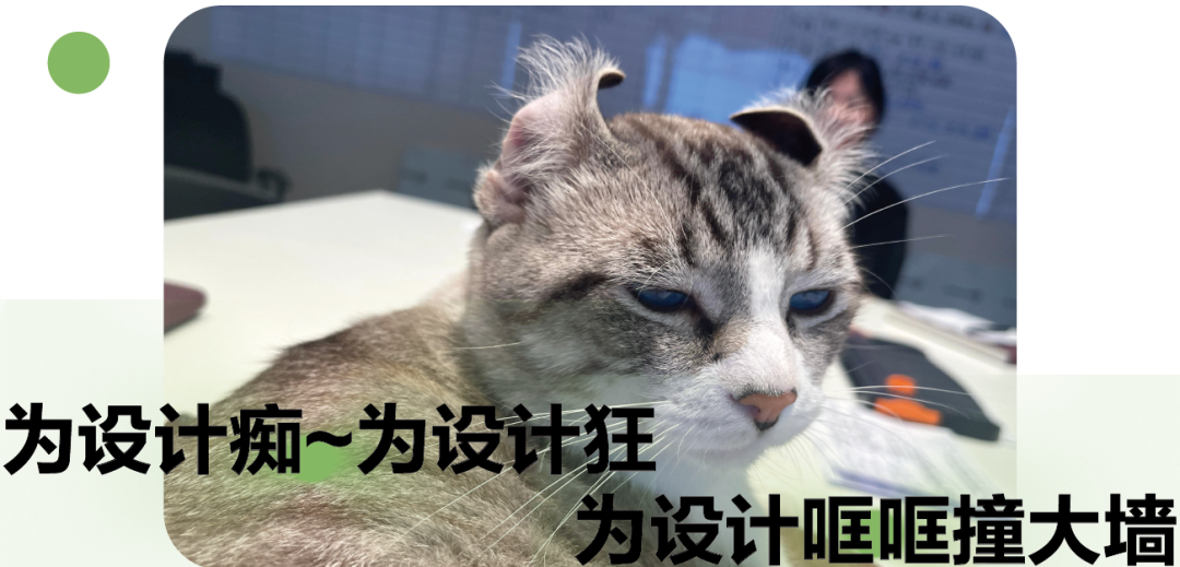 内卷的设计部年度考核丨公司设计部-53