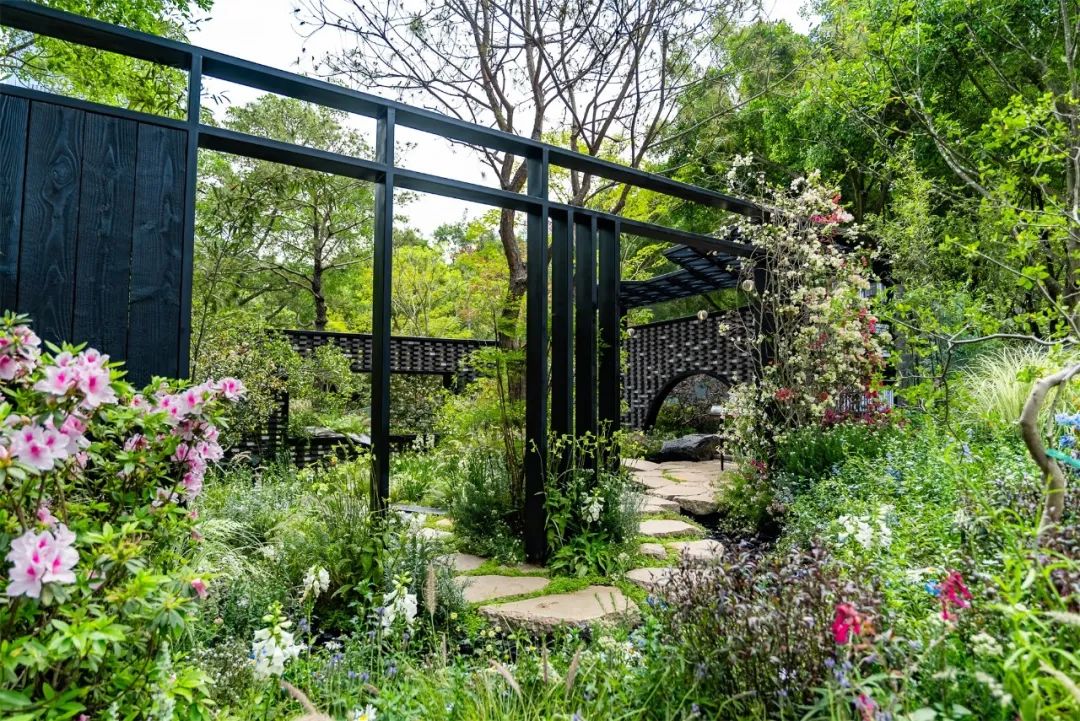 绮云书香|2024粤港澳大湾区花展宝安区城市花园-206