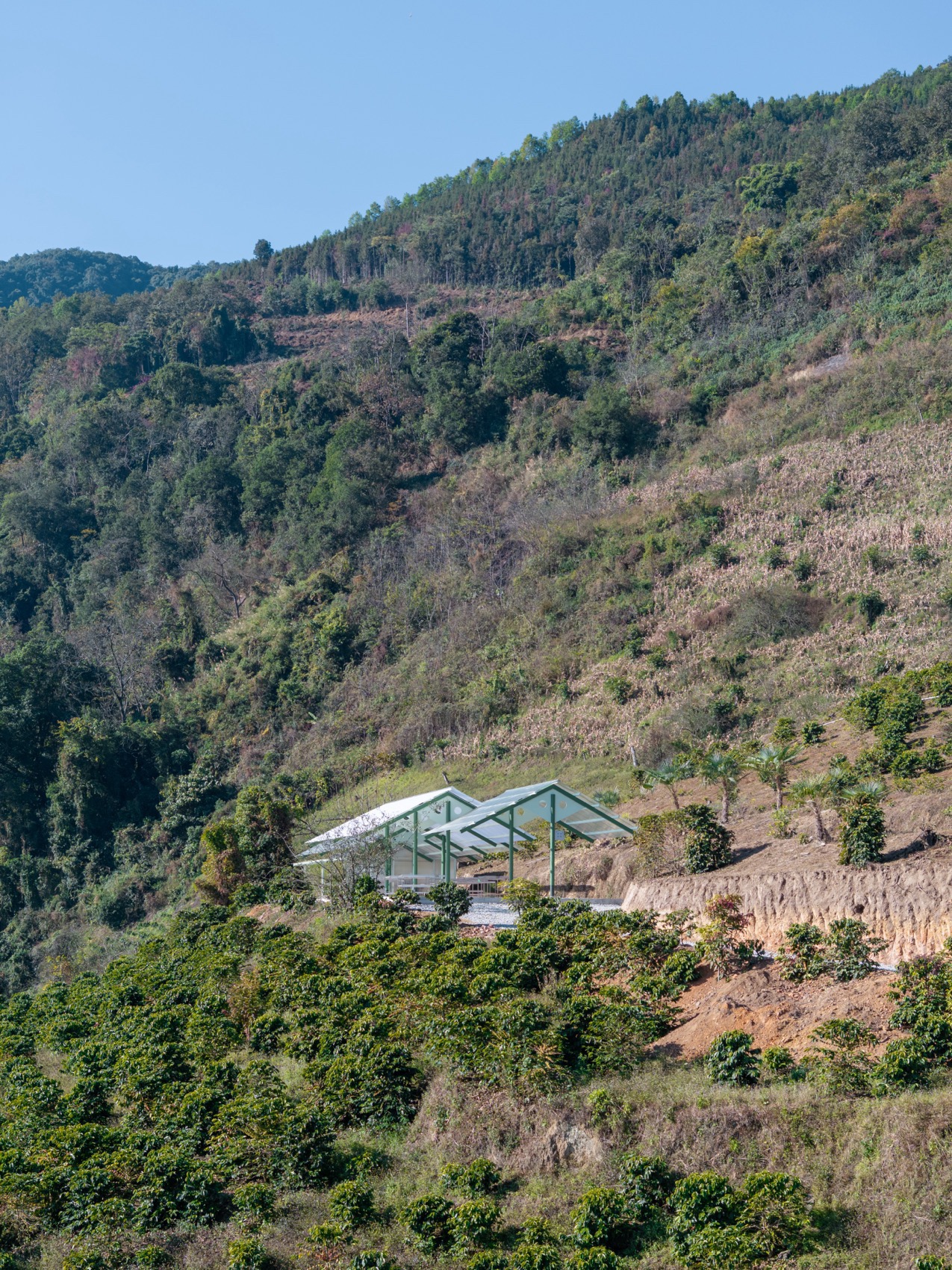 云南保山田田庄园咖啡晒场丨中国保山丨边缘计划建筑工作室-10