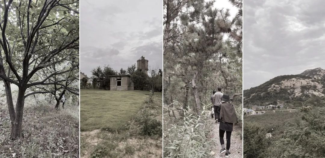 昆嵛山国家级自然保护区景观设计丨大小景观-101