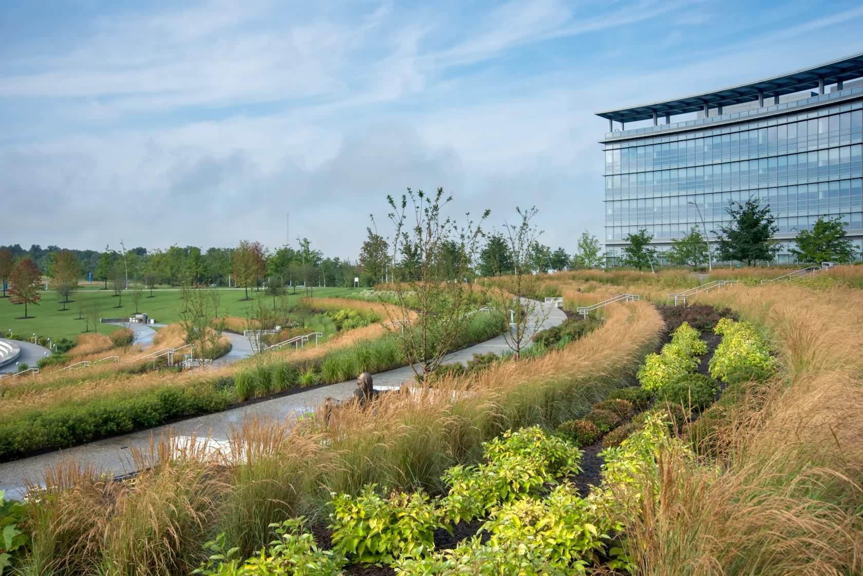 伊顿世界总部丨美国克利夫兰丨Pickard Chilton Architects 等-8