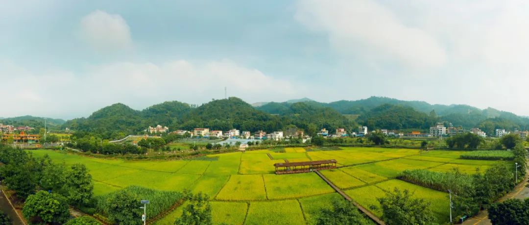 全域土地综合整治丨广州市城市规划勘测设计研究院-78