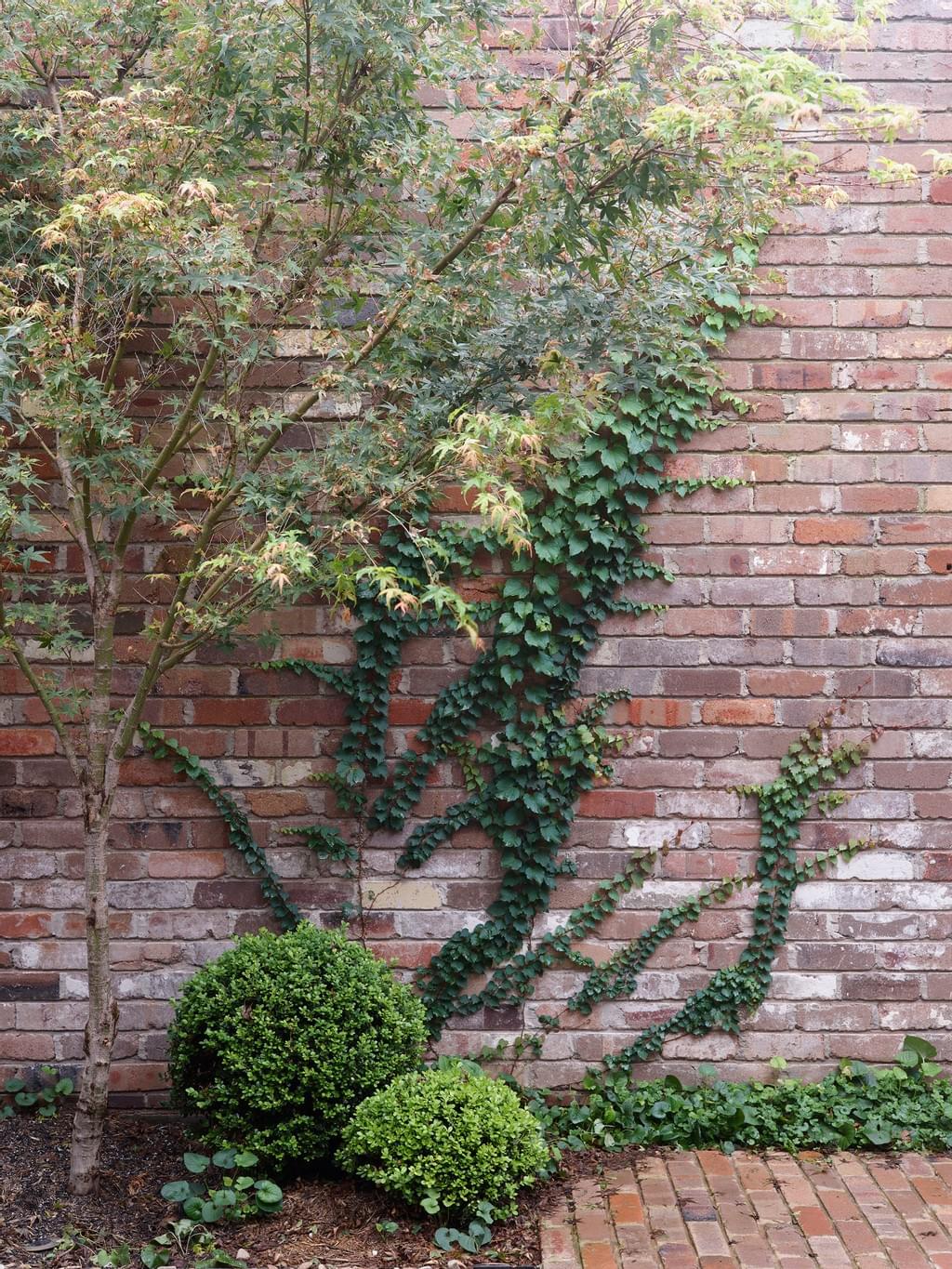 花园别墅；花园洋房；花园小屋（如果结合宽泛语境，Garden House可宽泛理解为与花园相关的房屋，三种表述较为常见 ，为满足结果唯一的要求，选有一定通用性的 ：）花园别墅 丨Arent&Pyke,Polly Harbison Design-27