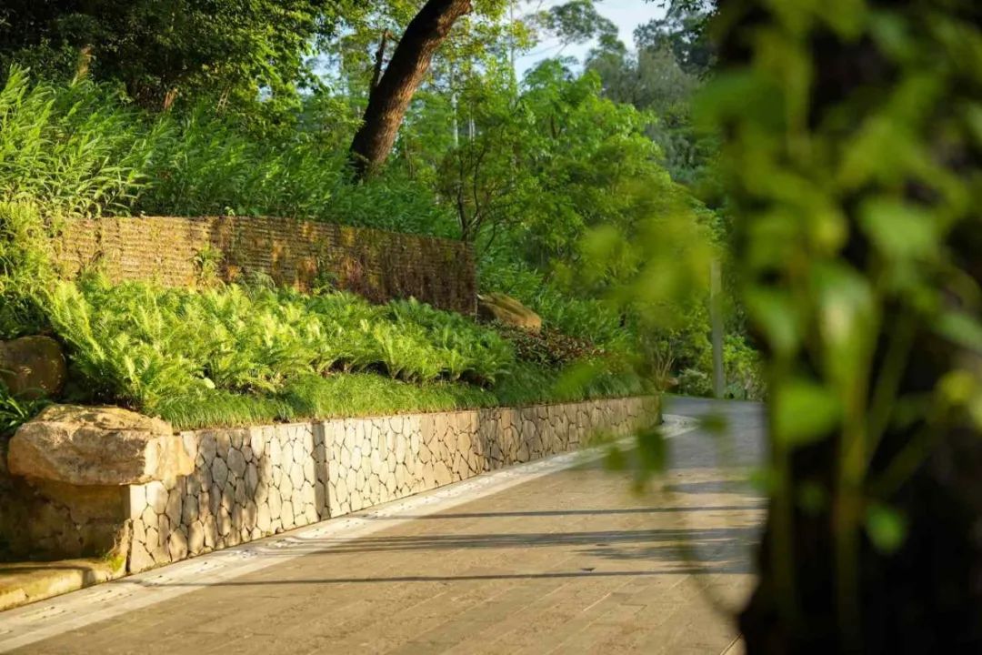 广州云萝植物园丨中国广州丨广州普邦园林股份有限公司-33