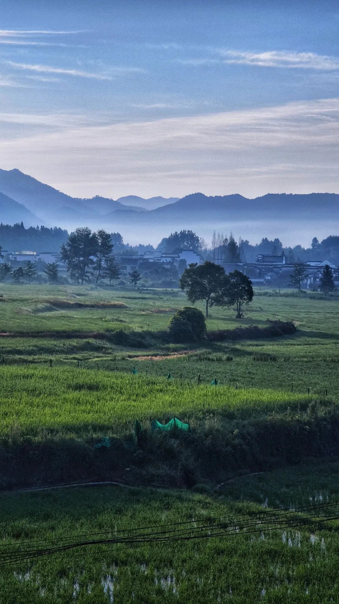 有时碧山民宿丨中国黄山丨上海新外建工程设计与顾问有限公司-16