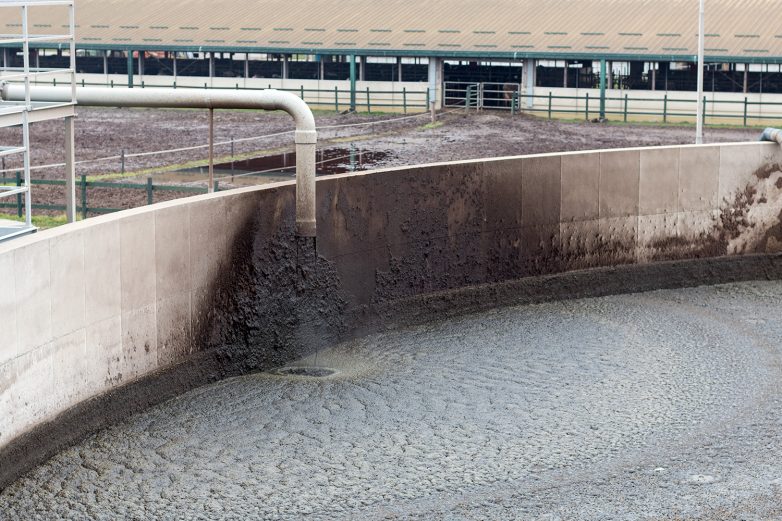 Global Seed农场项目丨Tim Inženjering（诺维萨德工程公司）-28