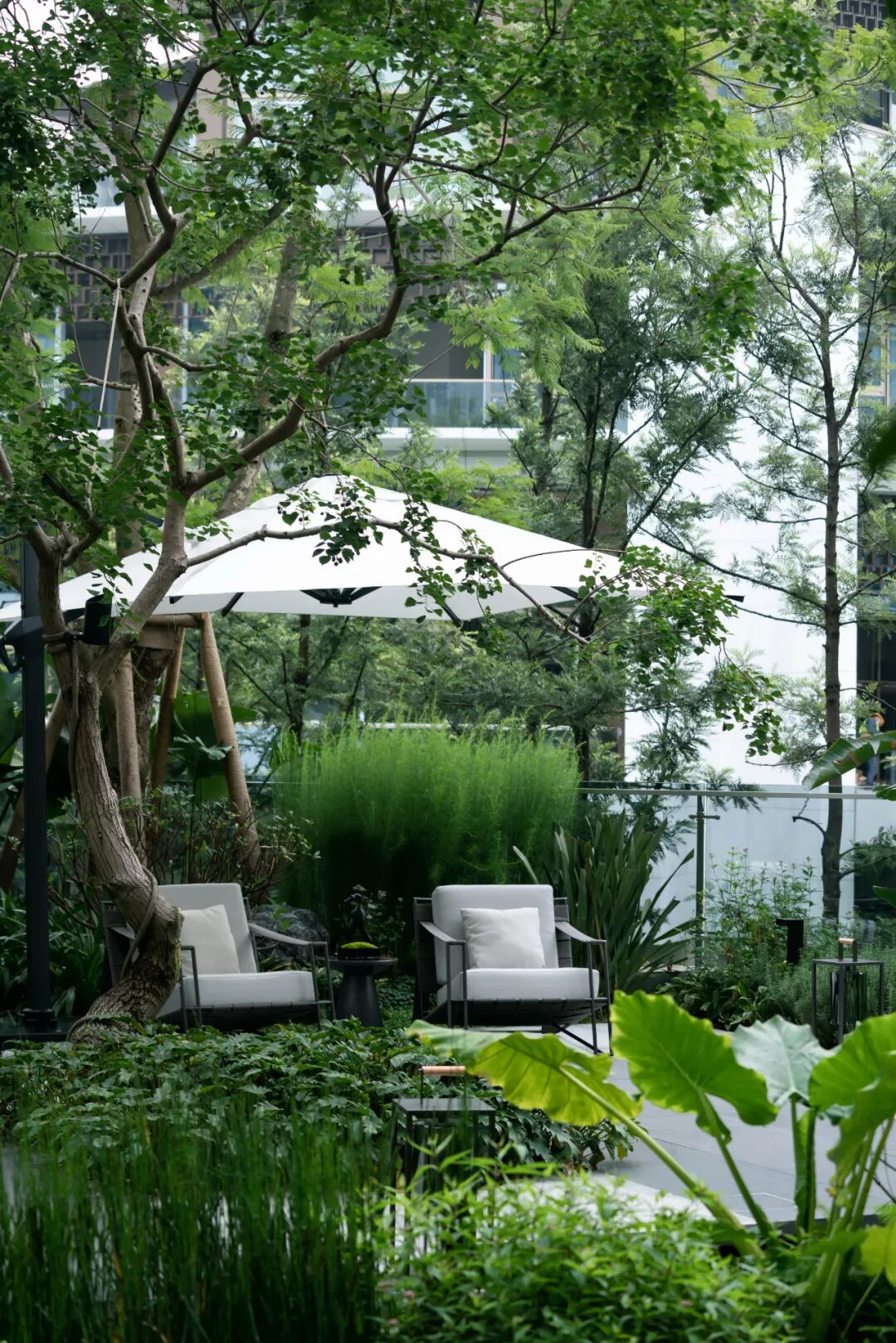 麓湖 B2 黑鉐样板岛丨中国成都丨乐道景观-66