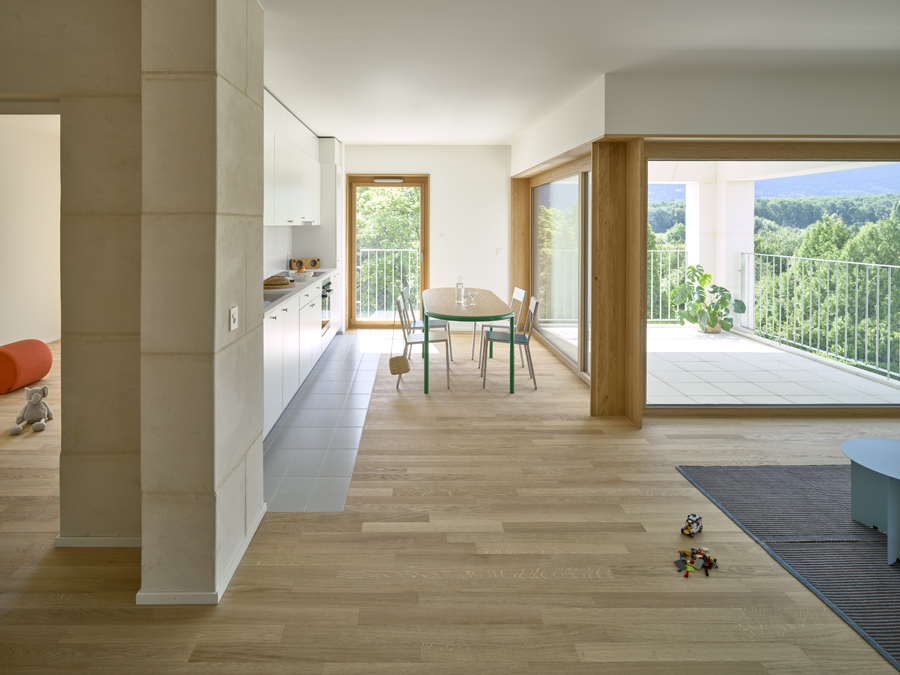 坚固石材住宅区丨瑞士丨Atelier Archiplein-22