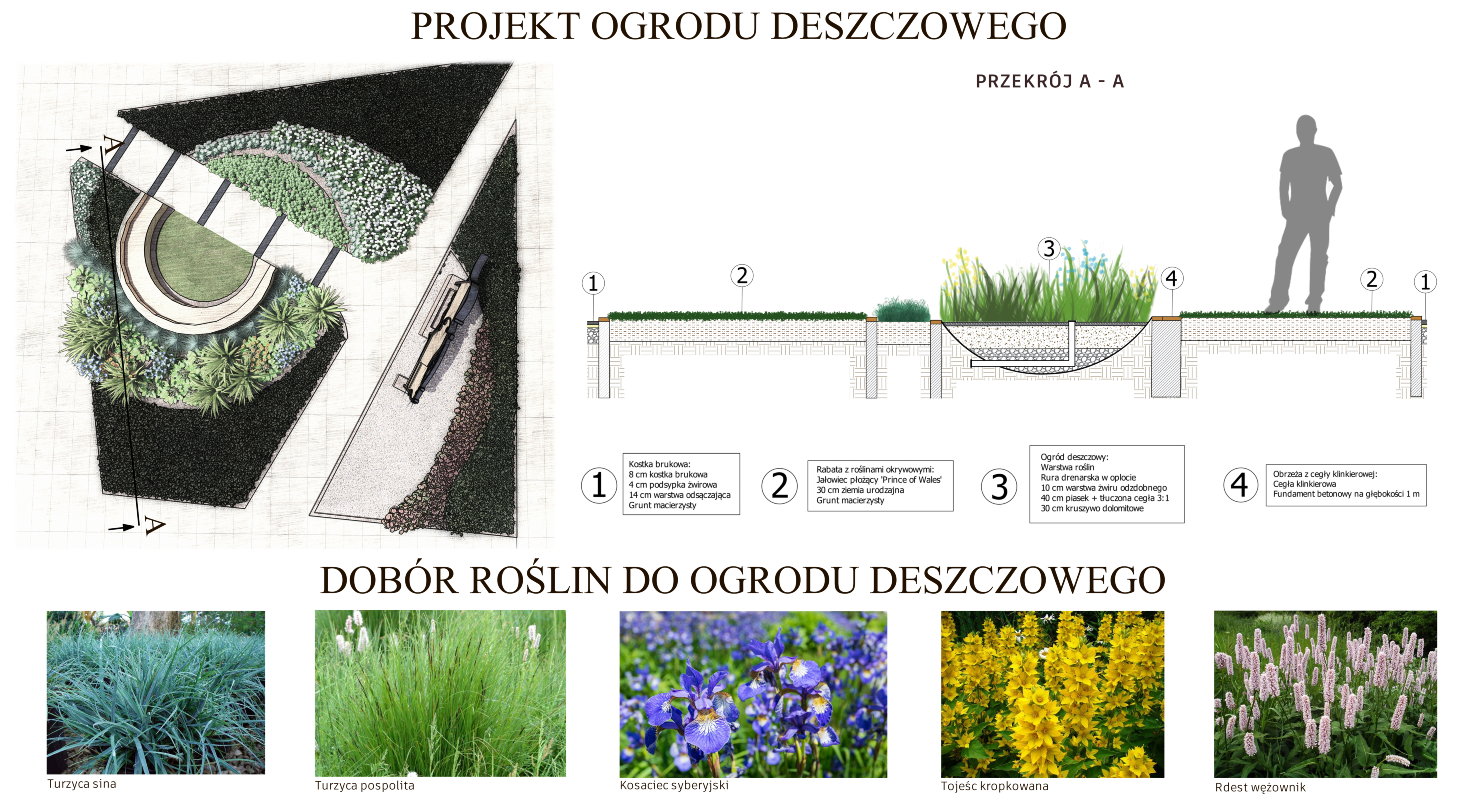 Myszków汽车站翻新项目-6