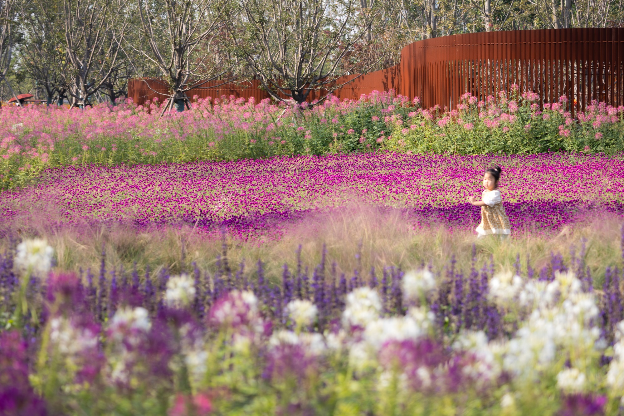 第十四届中国（合肥）国际园林博览会项目百花园设计丨中国合肥丨北京多义景观规划设计事务所,北京林业大学园林学院-43