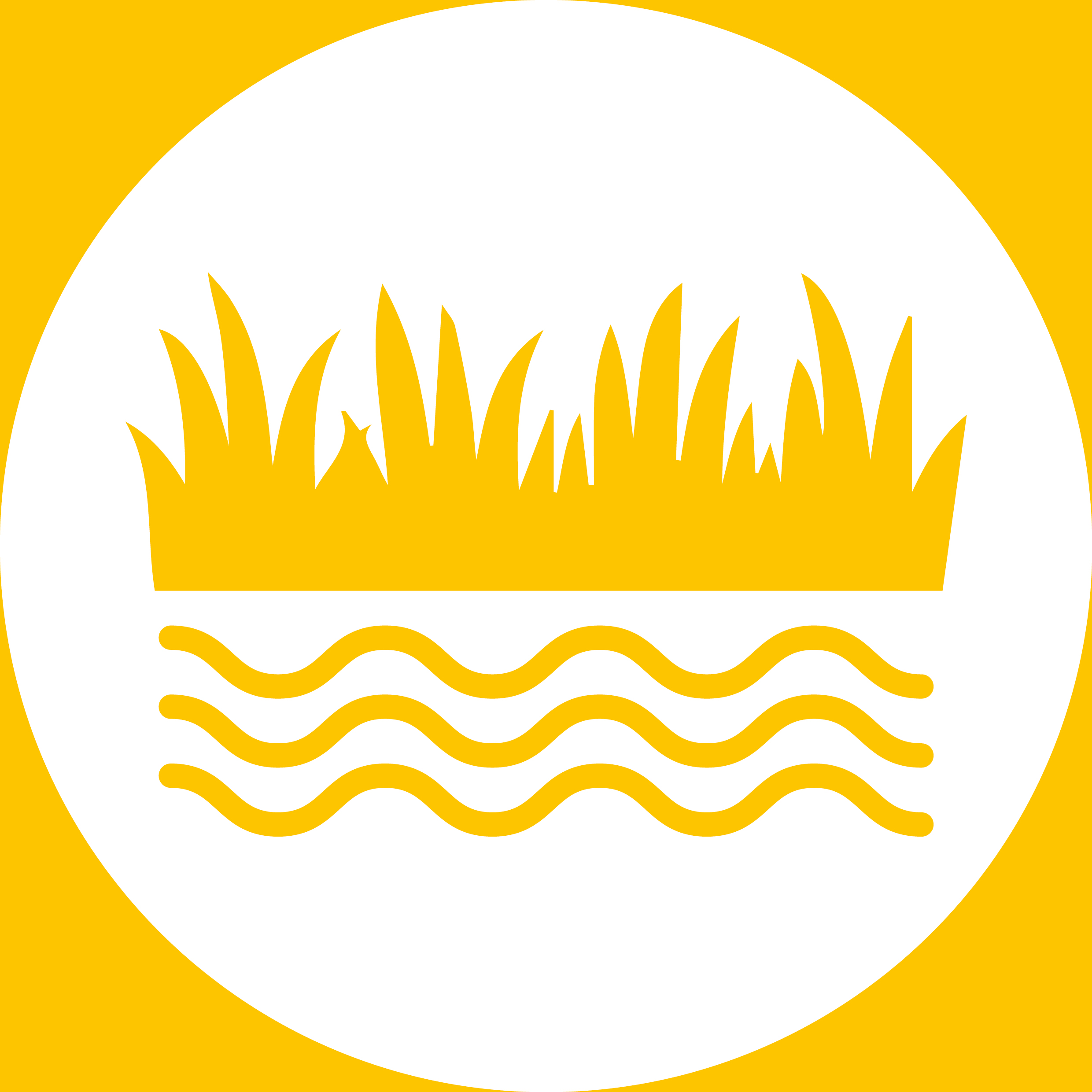 丨Levitt Bernstein-24