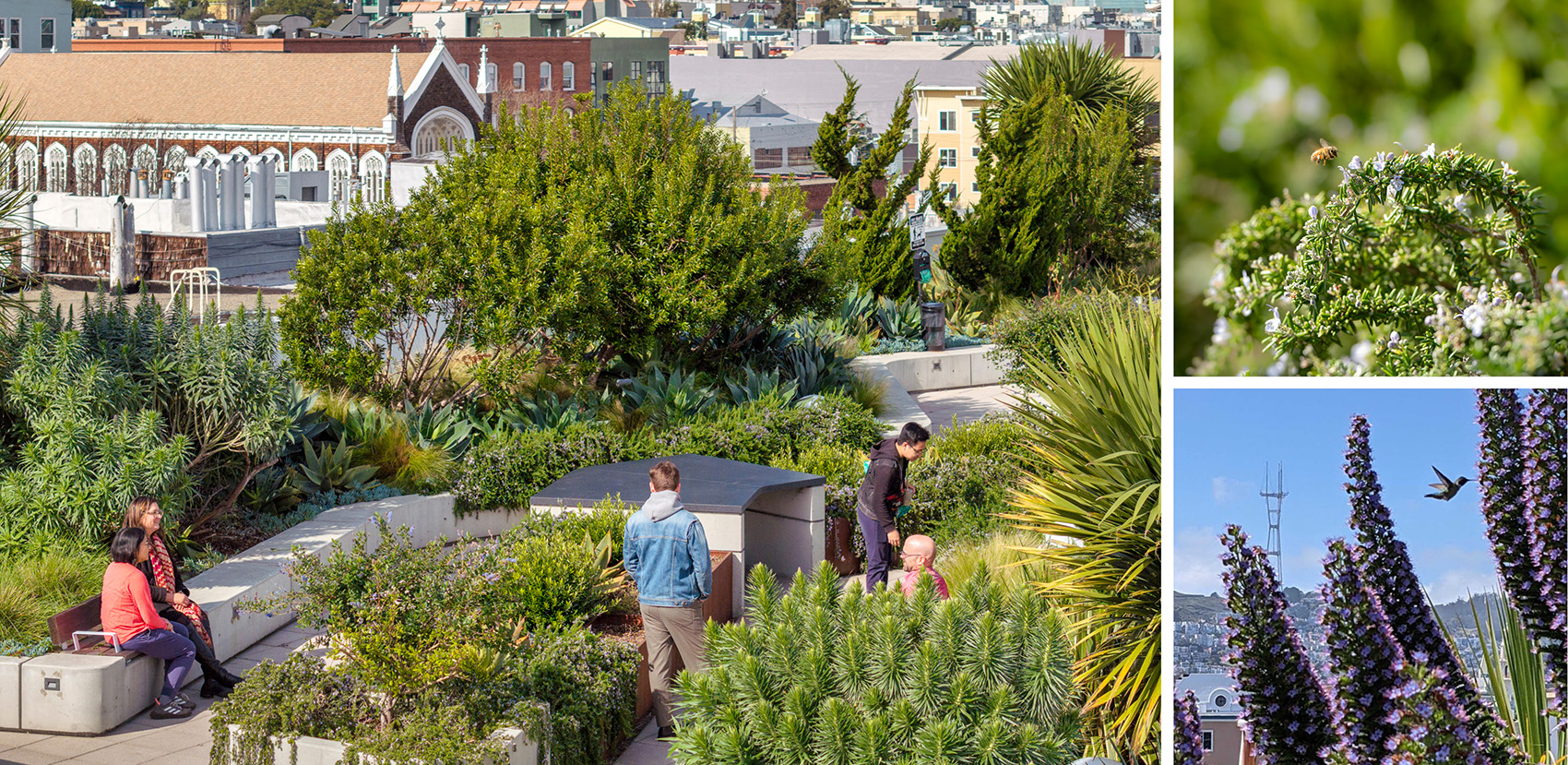 1950号La Féni·公寓住宅区丨中国金山丨GLS Landscape | Architecture-45