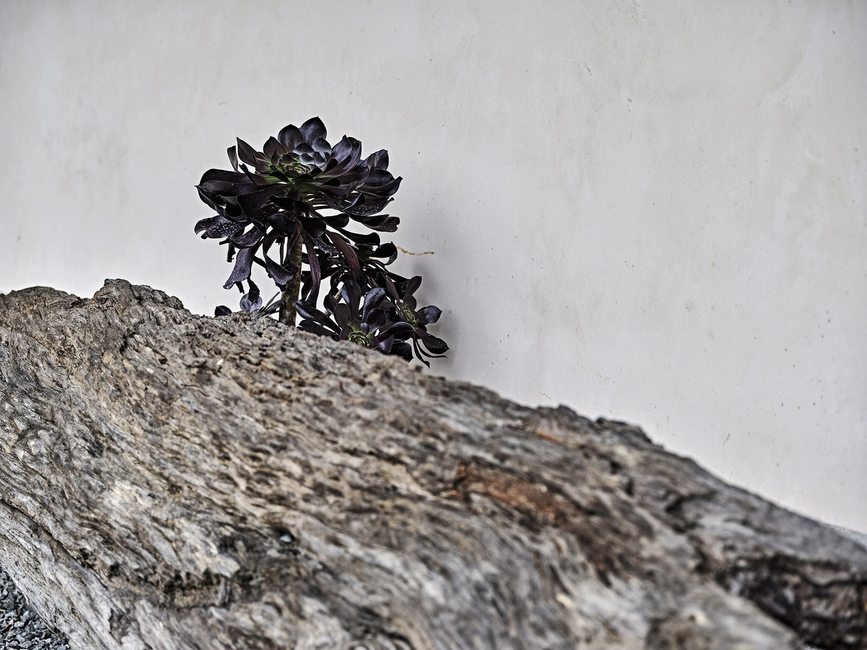 福建龙岩大和禅院扩建丨中国福建丨上海善祥建筑设计公司-60