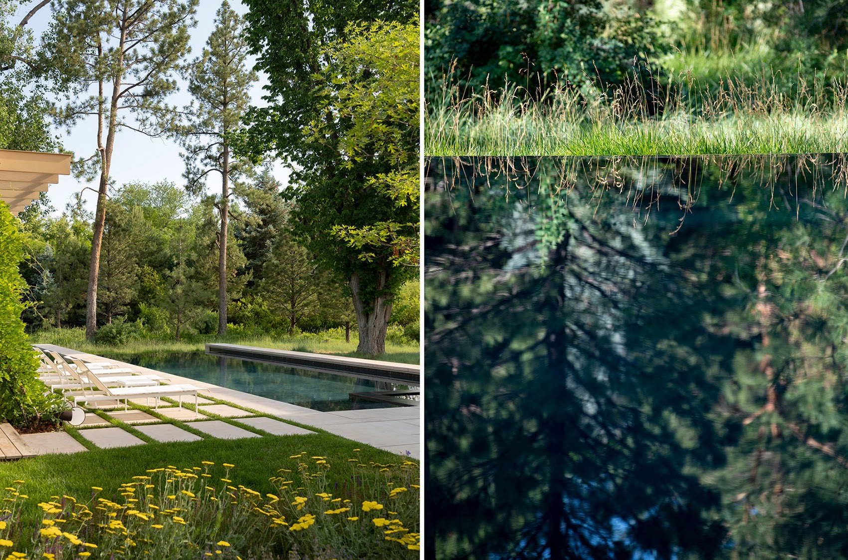 在“里高城”内培育自然丨美国丹佛丨Design Workshop,Inc. & Aspen-45