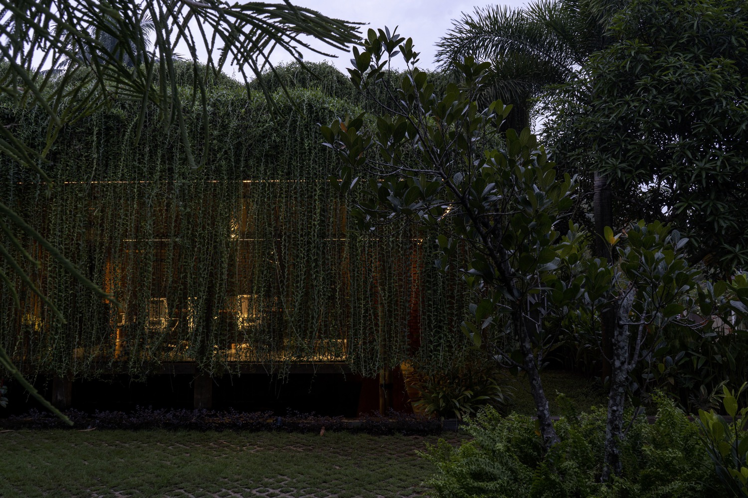 中枢神经系统办公室丨Studio Avocado-23