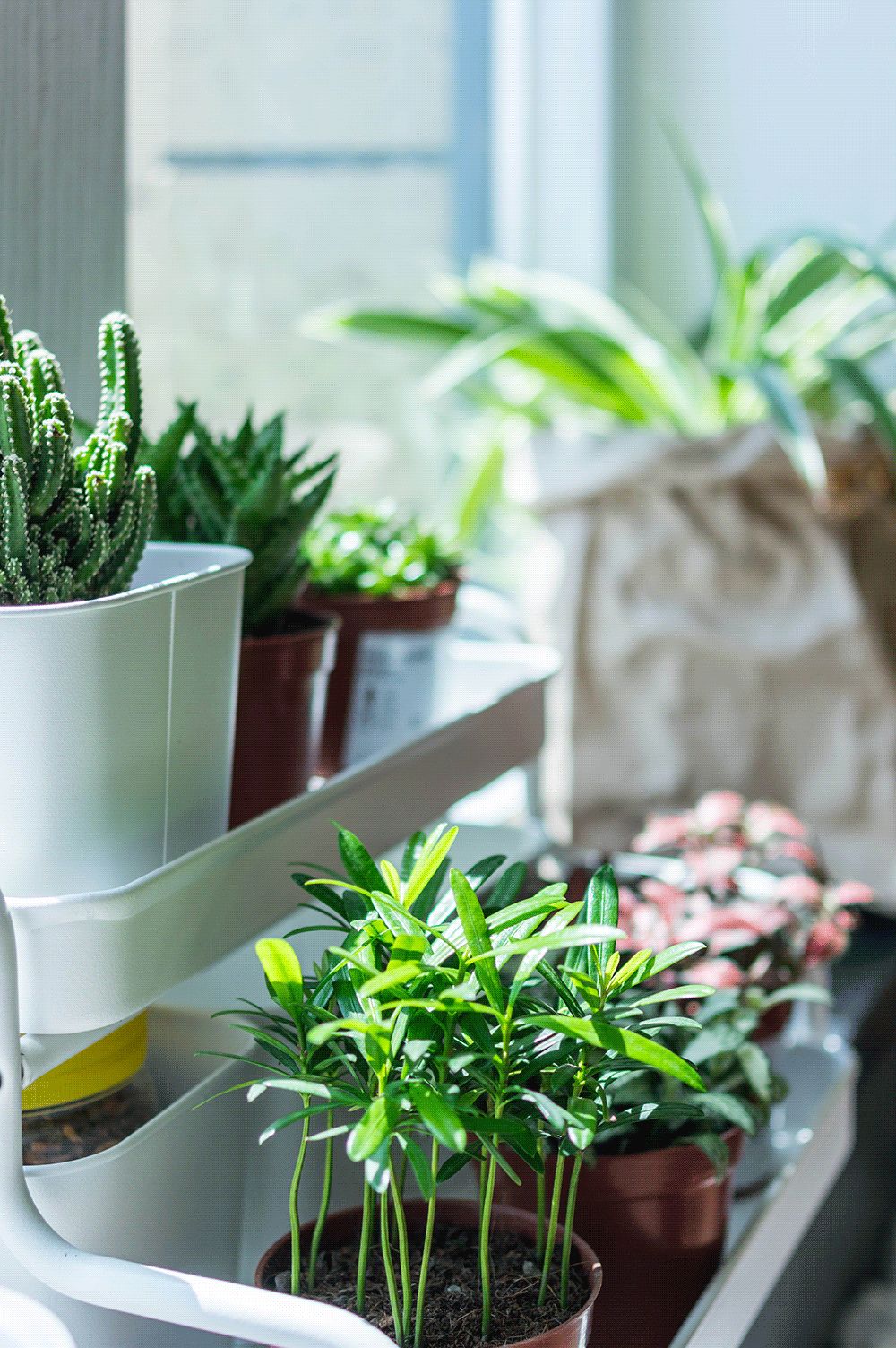 武汉 120㎡日式家居,收纳无死角,动线优化,生活更舒适-63