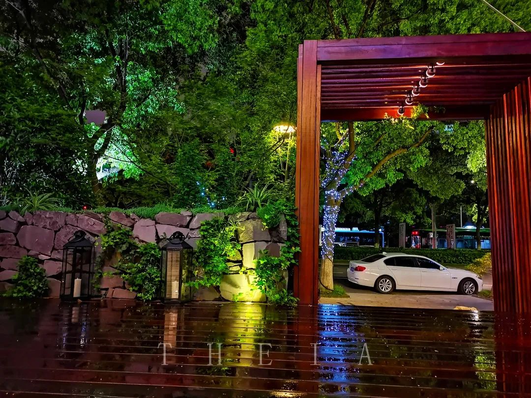 迪赛·东篱 | 闲田信步，采菊东篱-44