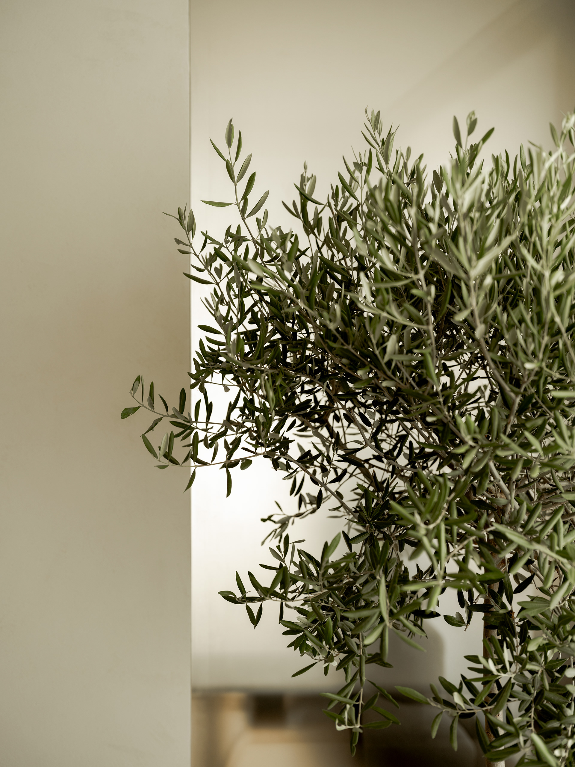 泽莱娜公寓丨乌克兰利沃夫丨Yaro Bureau（Yaroslava Serdiuk等）-19