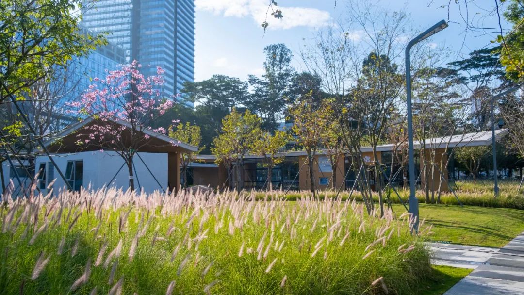 智见 · 云上 | 云之园 CLOUD PARK-111