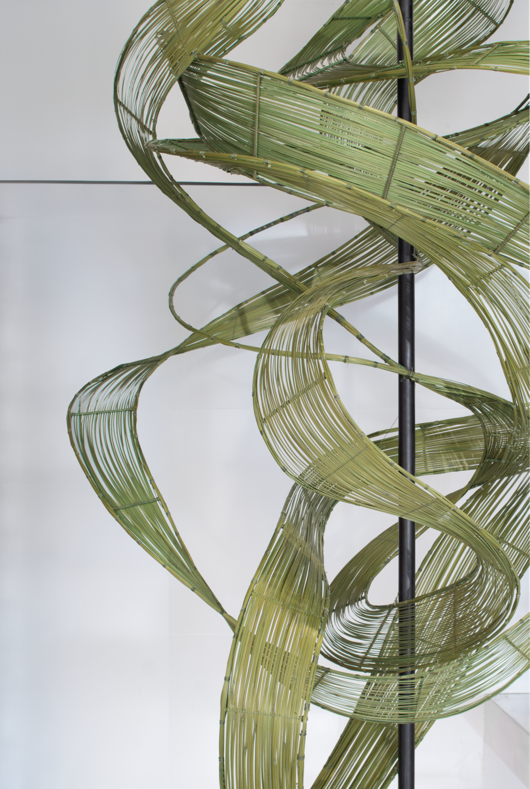 成都奥园锦官芳华销售中心 | 竹舞熊猫，解码城市气质-15