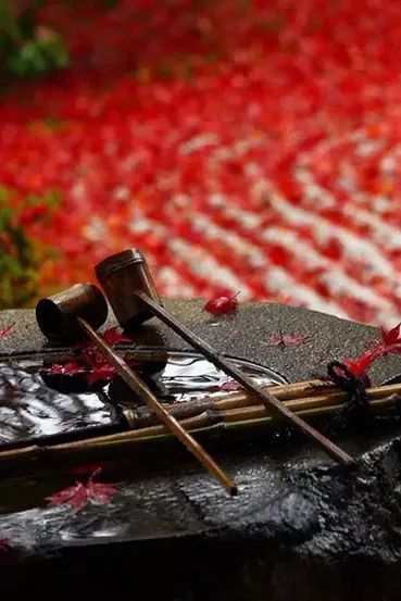 禅意庭院 · 小水景-12