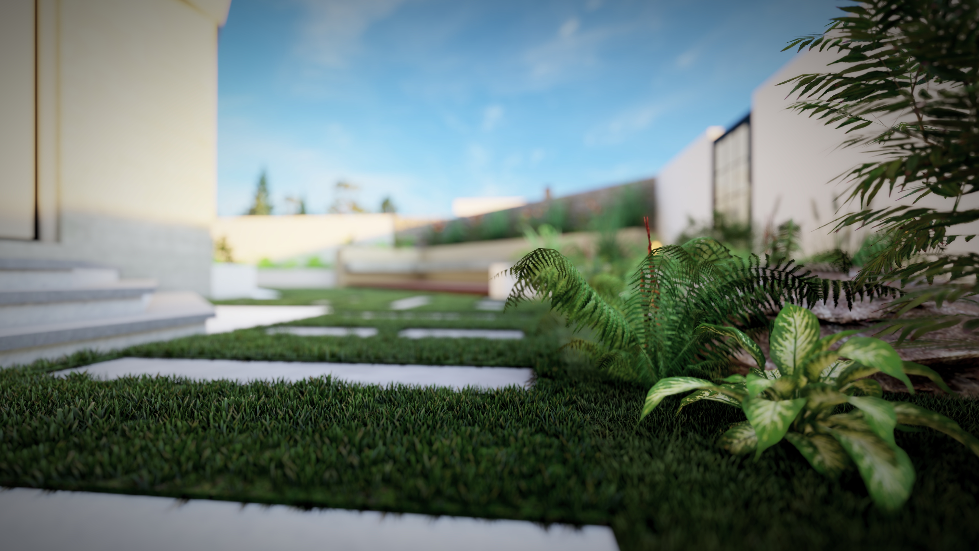 house yard landscape-1