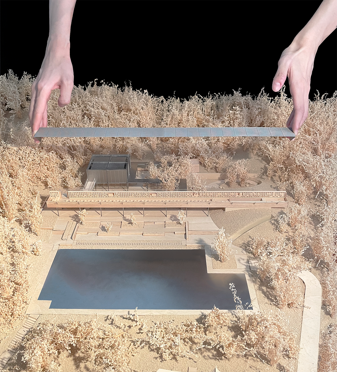 金明书院丨中国商丘丨水平线设计-67