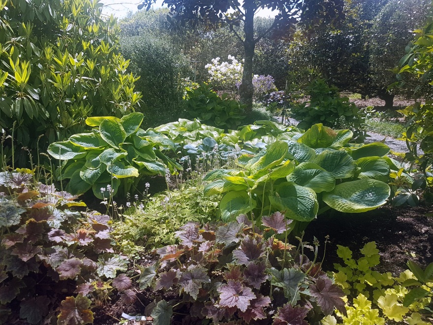 Cairnhill私人花园-1