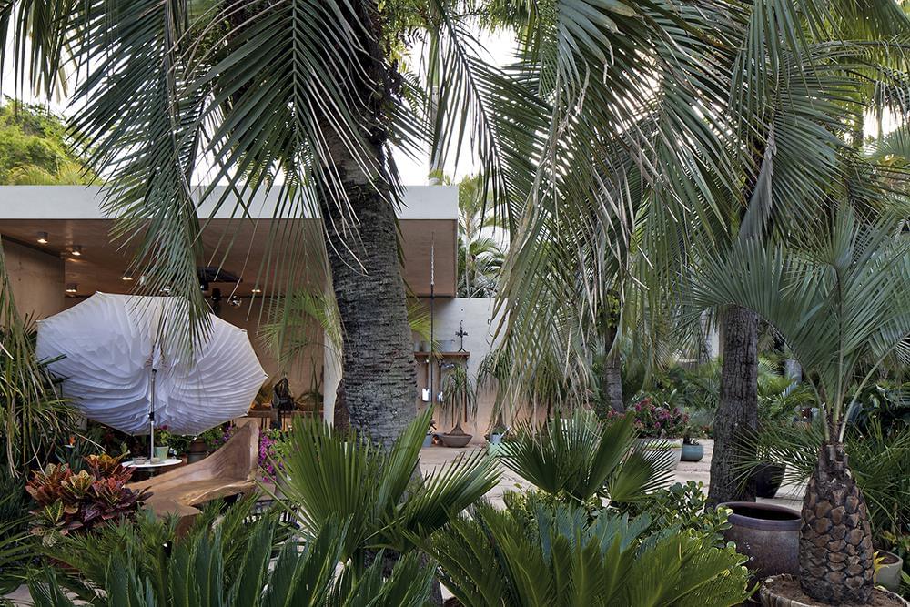 巴西 Inhotim 植物店-6