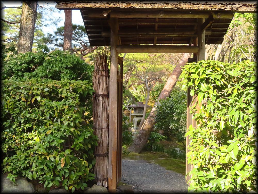 日本私立学校振興・共済事業団京都宿泊所『白河院』丨日本京都丨武田五一（建筑）,七代目小川治兵衛（植治）（庭园）-20