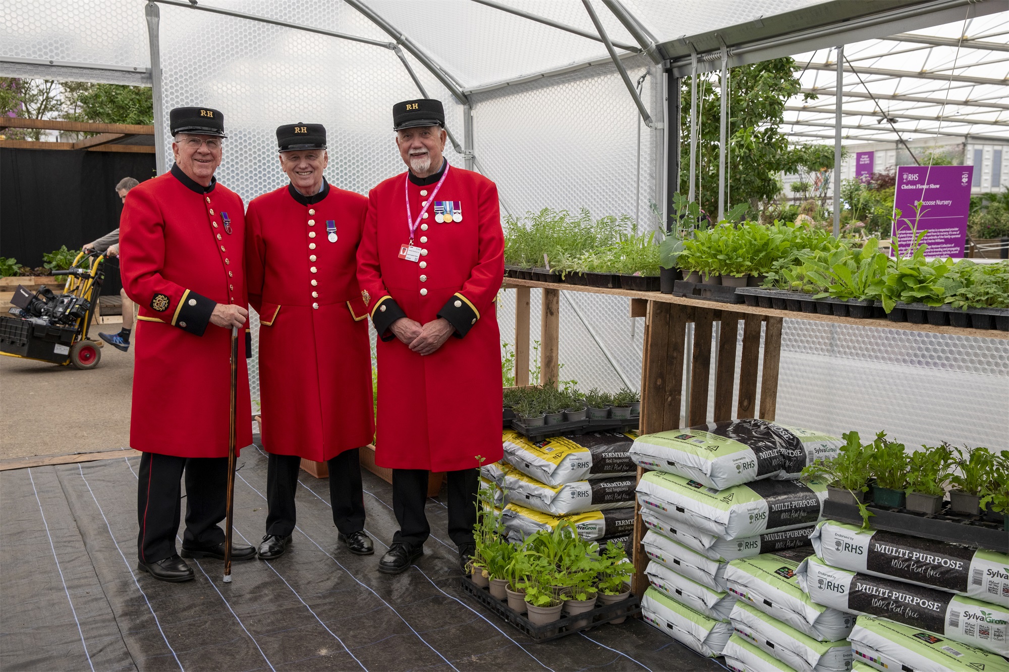 2024切尔西花园展获奖作品丨英国丨Royal Horticultural Society-478