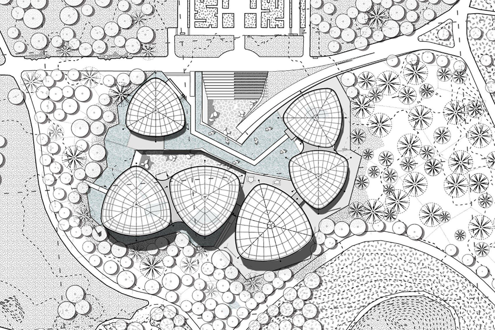 圣菲波哥大热带植物园丨哥伦比亚丨DARP-61